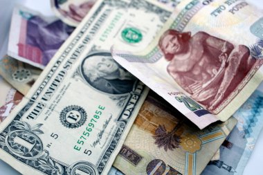 Different currencies shown in the reverse side