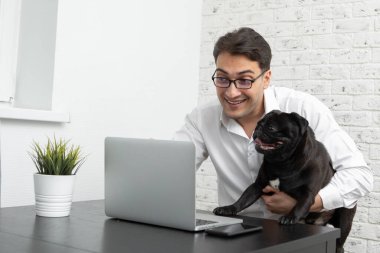Neşeli iş adamı ve sevimli köpeği evde dizüstü bilgisayarla çalışıyor. Uzak çalışma ve arkadaşlık kavramları