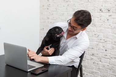 Neşeli iş adamı ve sevimli köpeği evde dizüstü bilgisayarla çalışıyor. Uzak çalışma ve arkadaşlık kavramları