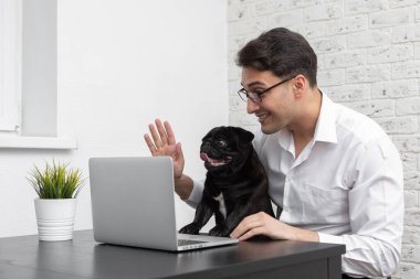 Gülümseyen iş adamı ve sevimli köpeği evde dizüstü bilgisayarla çalışıyor. Uzak çalışma ve arkadaşlık kavramları