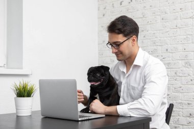 Gülümseyen iş adamı ve sevimli köpeği evde dizüstü bilgisayarla çalışıyor. Uzak çalışma ve arkadaşlık kavramları