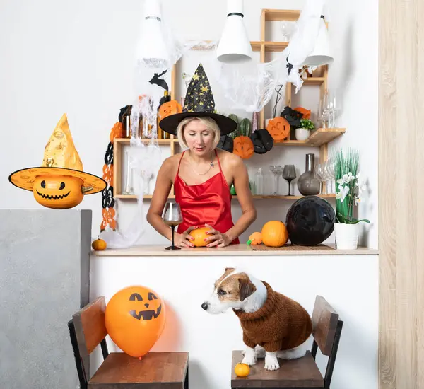 Cute Dog Funny Costume Attractive Woman Beautiful Dress Celebrating Halloween — Stock Photo, Image
