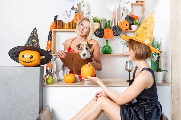 魔女の帽子をかぶっている2人の魅力的な女性と 自宅で一緒にハロウィンを祝うかわいいペット犬 家族や友情のコンセプトで休日 — ストック写真