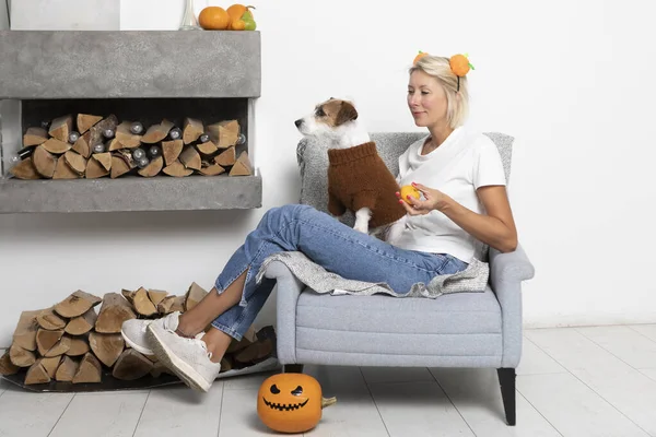 Vonzó Karosszéken Vele Aranyos Kisállat Kutya Ünnepli Halloween Együtt — Stock Fotó