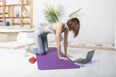 Çekici fit ve narin kadın eğitimi evde.