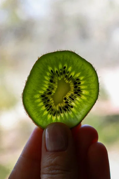 Close Hand Holding Slice Kiwi Fruit — Photo