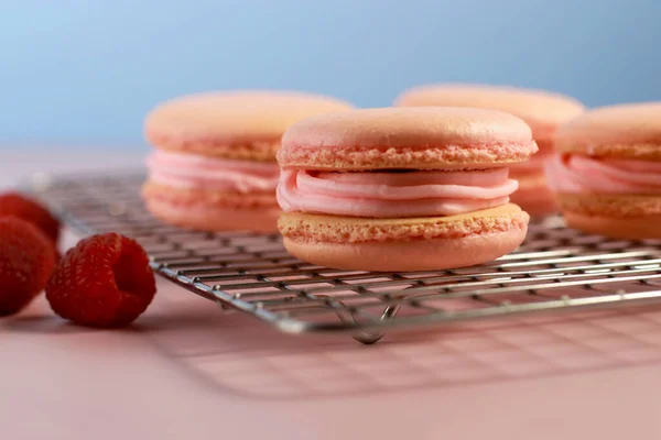 macaroons with raspberry buttercream on baking rack, blue background