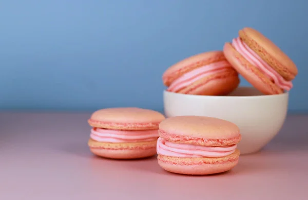 macaroons with pink buttercream in white bowl, blue background with copy space