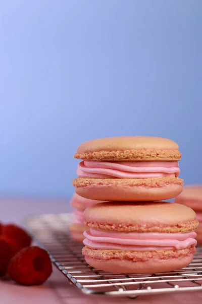 macaroons with raspberry buttercream on baking rack, blue background