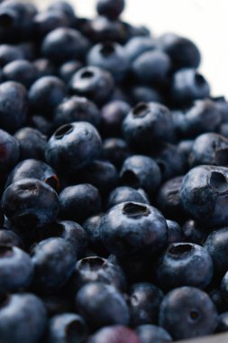 Yaban mersinine yakın plan, arka plan