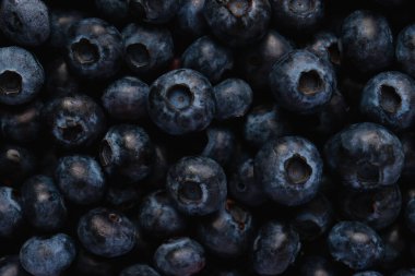 Yaban mersinine yakın plan, arka plan