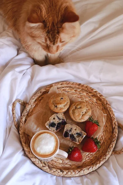 Breakfast Bed Coffee Blueberry Muffins — Stock Photo, Image
