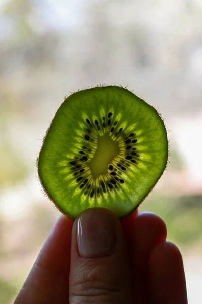 Hand Holding Kiwi Close — Foto de Stock