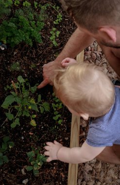 father working in the garden with baby, upper view