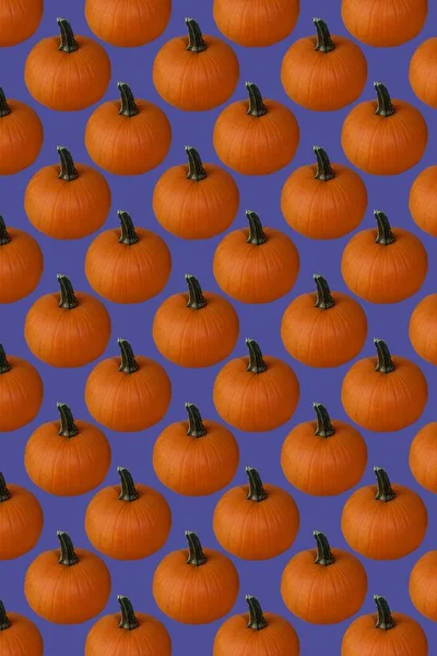 Patrón Calabaza Sin Costuras Sobre Fondo Azul Foto Alta Calidad — Foto de Stock