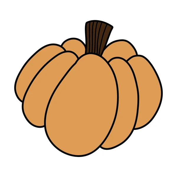 Pumpkin Illustration Hand Drawn Background High Quality Photo — Stock Photo, Image