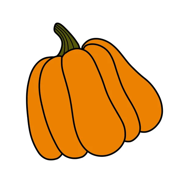 Pumpkin Illustration Hand Drawn Background High Quality Photo — Stock Photo, Image