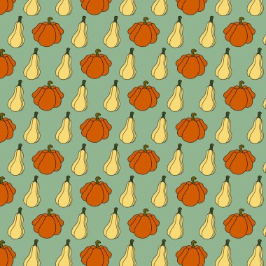 Kusursuz balkabağı desenli el çizimi, yeşil arka plan. Yüksek kalite fotoğraf