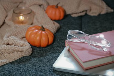 Arka planda kal. Küçük balkabakları, kurusıkı örgü, kanepede defter ve gözlük.. 