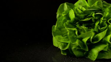 Stüdyoda çekilen bir marul.