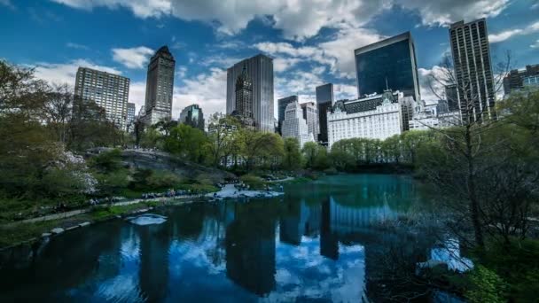Amazing Timelapse Central Park New York Városában — Stock videók