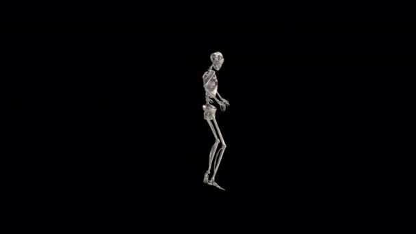 Metal Skeleton Dance Animation Transparent Alpha Background — Video Stock