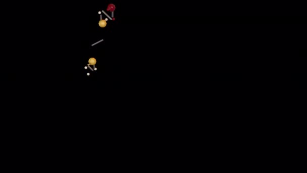 Молекулярная Анимация Прозрачным Альфа Фоном — стоковое видео