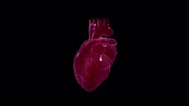 Şeffaf (alfa) arkaplan ile kalp atışı canlandırması