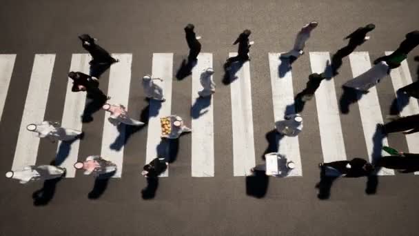 Middle East People Walking Crosswalk Animation — Stock video