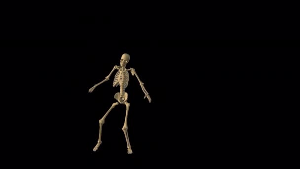 Skeleton Pop Music Dance Animation — Αρχείο Βίντεο