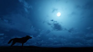 Wolf Howling at Moon animation