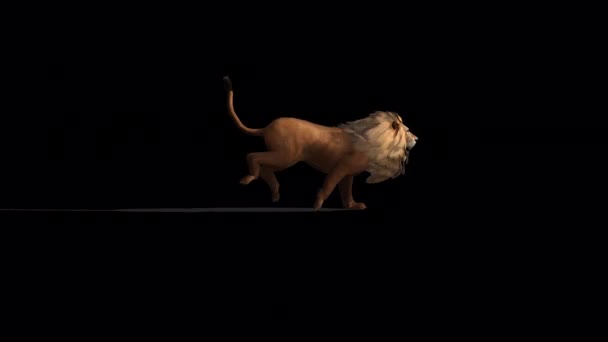 Lion Run Animation — Stockvideo