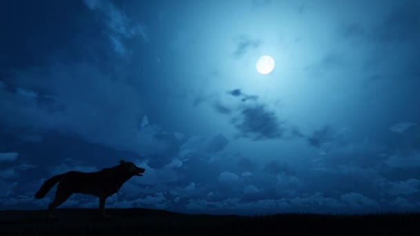 Wolf Ουρλιάζοντας Στο Φεγγάρι Animation — Αρχείο Βίντεο