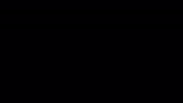 Bride Groom Silhouette Animation — Stok video