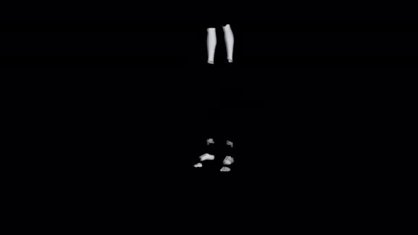 Humanoid Robot Animation — Wideo stockowe