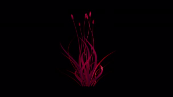Magical Red Flower Dancing Wind Animation — 图库视频影像