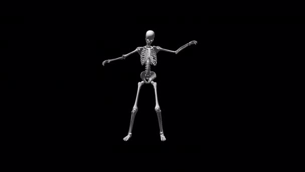 Skelett Break Dance Animation — Stockvideo
