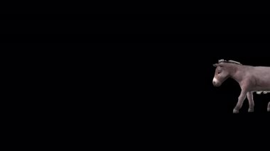 Şeffaf arkaplanda bir eşek 3d animasyonu