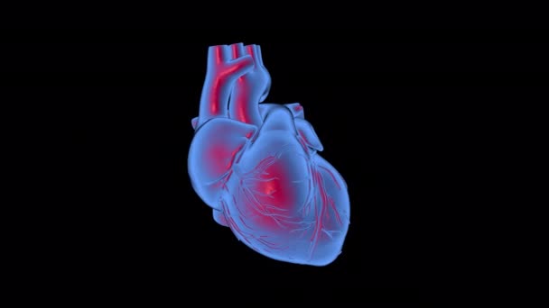 Анимация Битое Сердце Синем Красном Цветах — стоковое видео