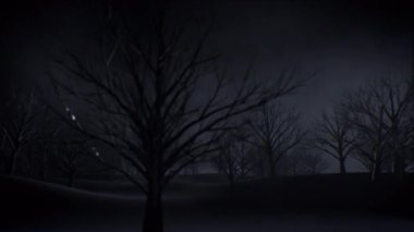 Gizemli sis döngüsü ile ağaç ormanı arka planı