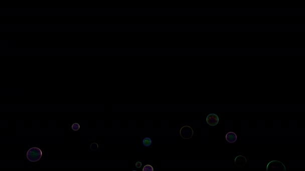 Bubbles Animation Many Bubbles Floating — Stock Video