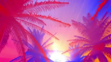 Yaz arkaplanı renkli palmiye ağacı, yaz temasında palmiye ve gün batımında kameranın içinden uçuyor.