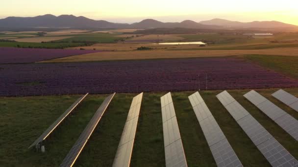 Luchtfoto Van Prachtige Landbouwvelden Fotovoltaïsche Velden — Stockvideo