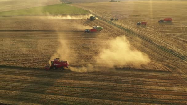 Running Harvesters Beautiful Sunset — Stockvideo