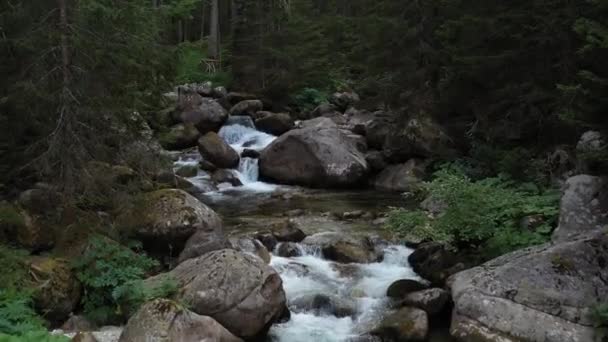 Niski Lot Nad Rzeką Mountain Rapids — Wideo stockowe