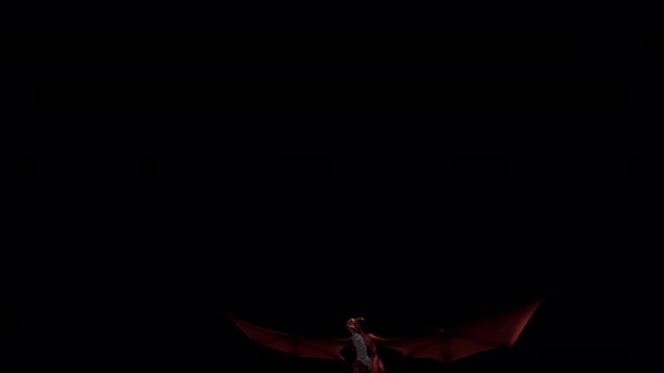 Red Dragon Gliding Animation — 图库视频影像