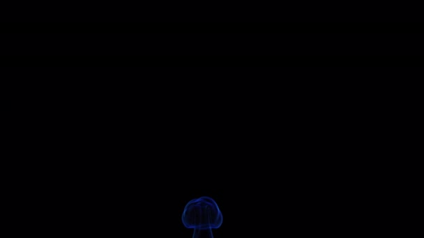 Blue Liquid Smoke Animation Transparent Alpha Background — Video