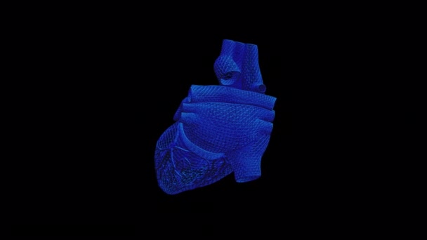 Wired Human Heart Animation — Stockvideo