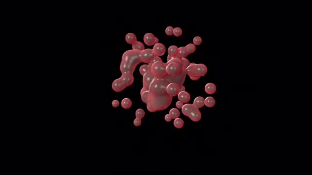 Анимация Клеток Красном Цвете — стоковое видео