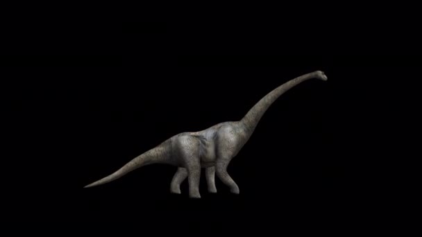 Een Enorme Brontosaurus Wandelen Animatie — Stockvideo